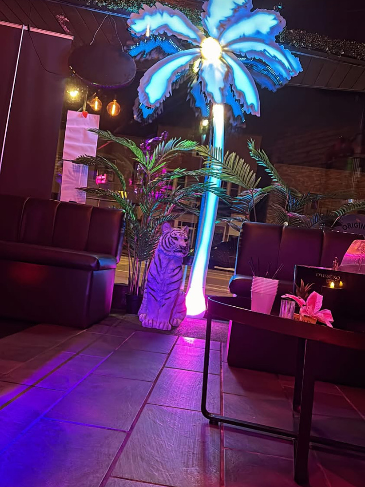 2D Palm